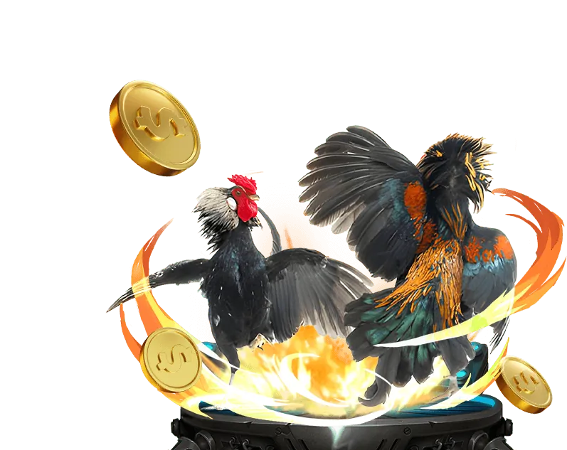 Video slot với đồ họa hiện đại và tính năng bonus